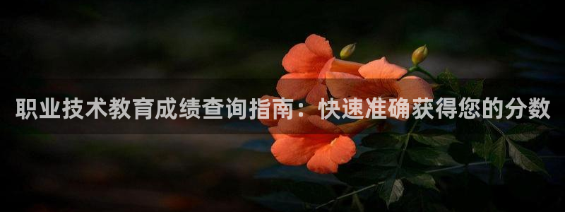 j9国际站官网|职业技术教育成绩查询指南：快速准确获得您的分数