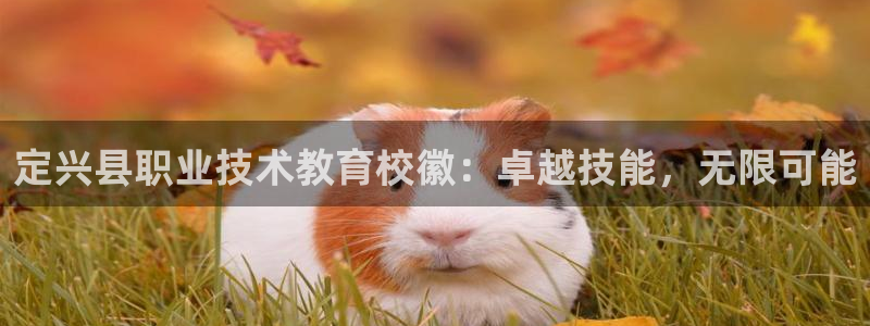 ag九游会j9登录入口旧版|定兴县职业技术教育校徽：卓越技能，无限可能