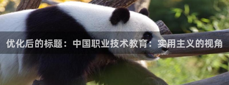 j9九游会真人游戏第一品牌|优化后的标题：中国职业技术教育：实用主义的视角