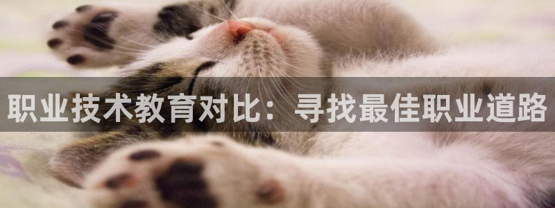 j9九游会官网登录入口|职业技术教育对比：寻找最佳职业道路