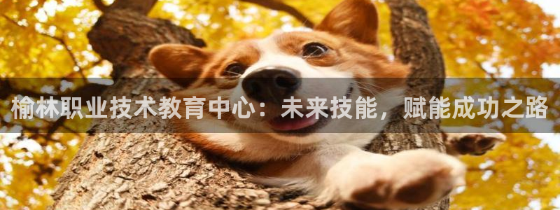j9九游会网址是什么|榆林职业技术教育中心：未来技能，赋能成功之路