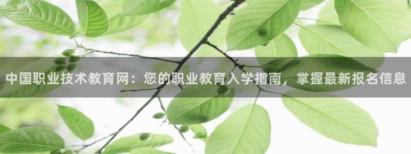 j9国际站登录|中国职业技术教育网：您的职业教育入学指南，掌握最新报名信息