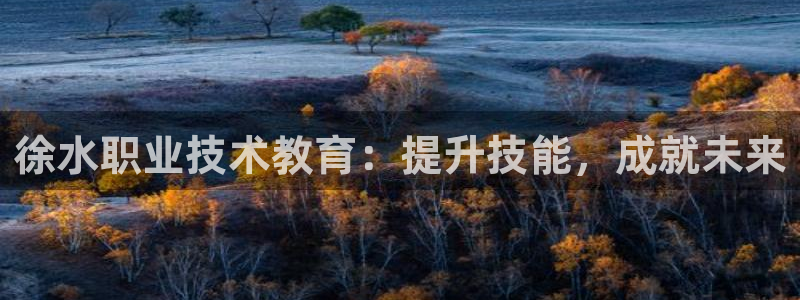 j9九游会网址|徐水职业技术教育：提升技能，成就未来
